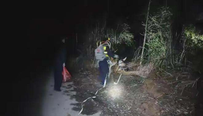 泪目！江西失联姐弟找到了走失原因曝光姐姐一句话让人落泪