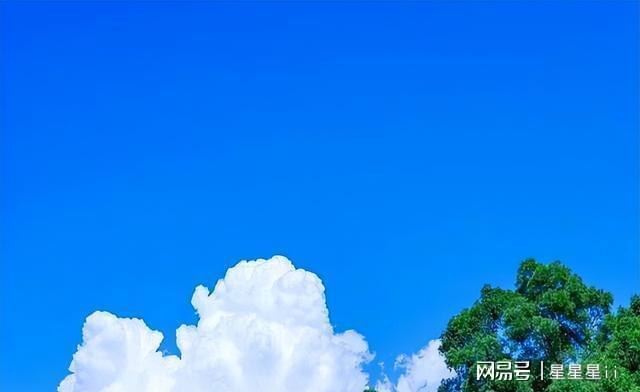 古风漫画《捕获幸运好大儿》爆火 反套路剧情戳中观众爽点(图5)